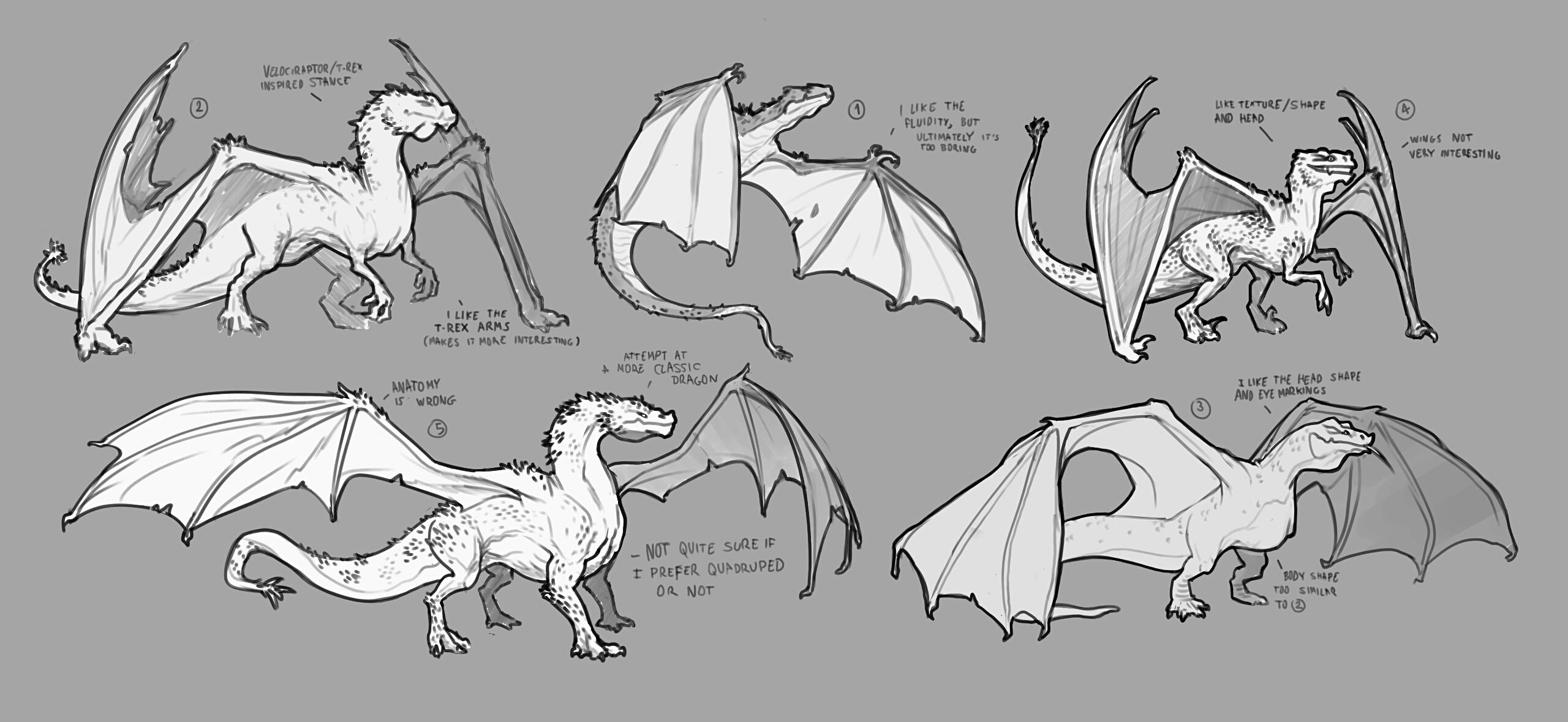 Design Exploration